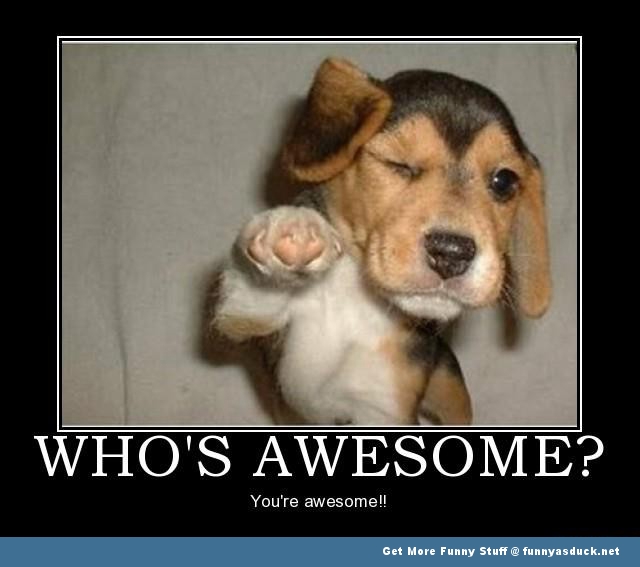 Whos Awesome?