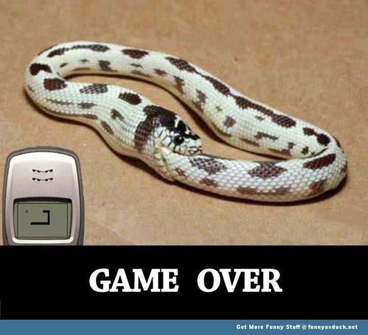 Game Over