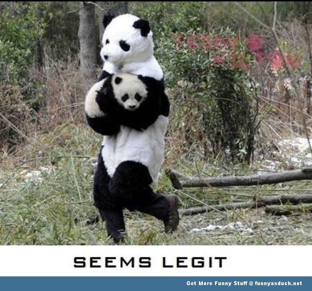 Legit Panda Kidnap