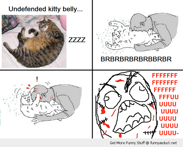 Kitty Rage