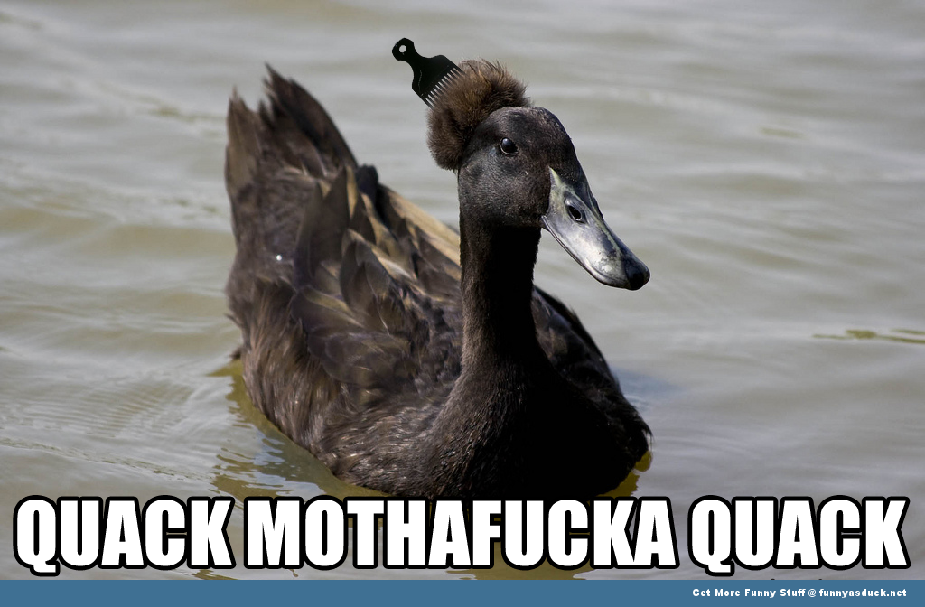 Gangster Duck