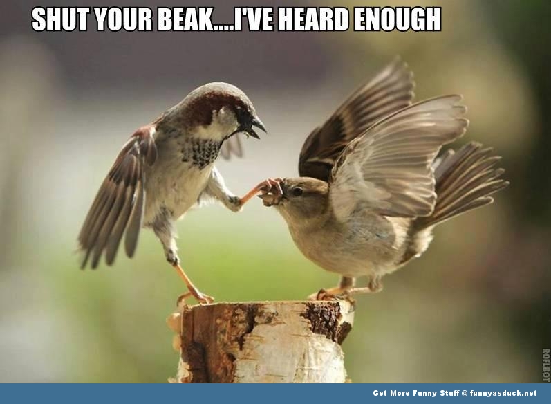 Shut Your Beak