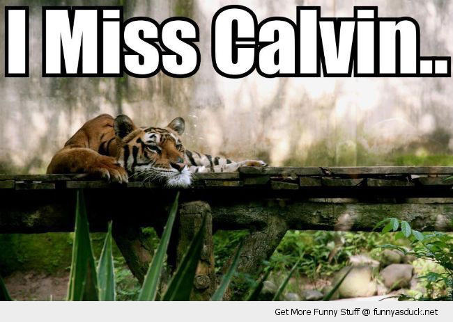 I Miss Calvin...