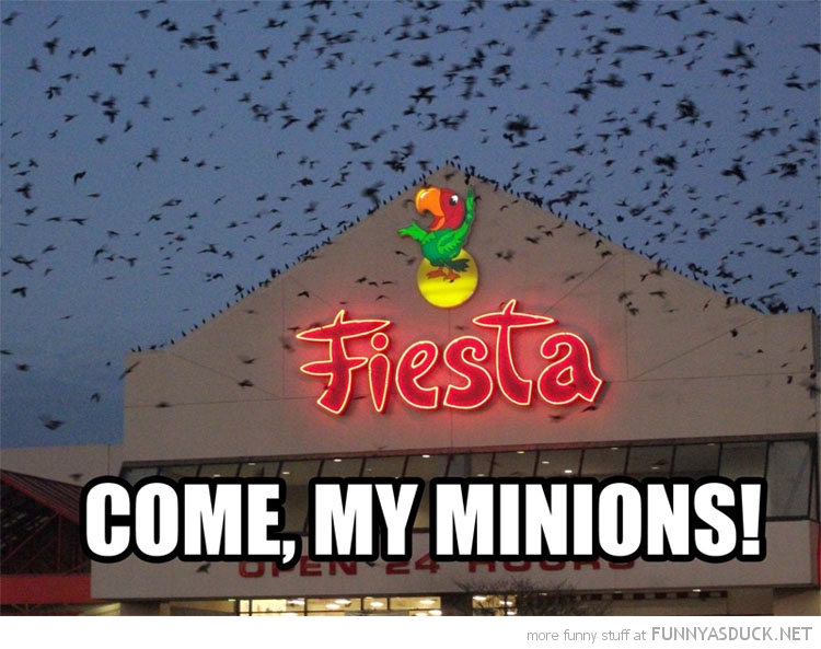 Come, My Minions