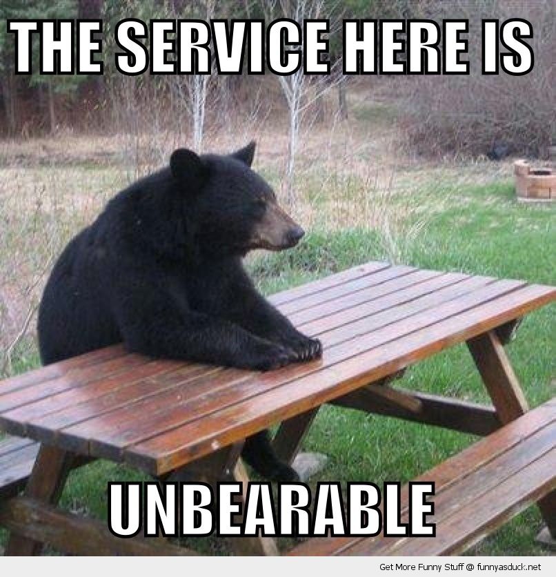 The Service Is Unbearable