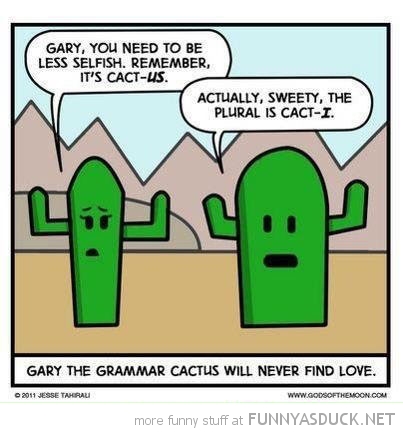 Grammar Cactus