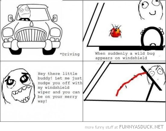 Lady Bug Rage