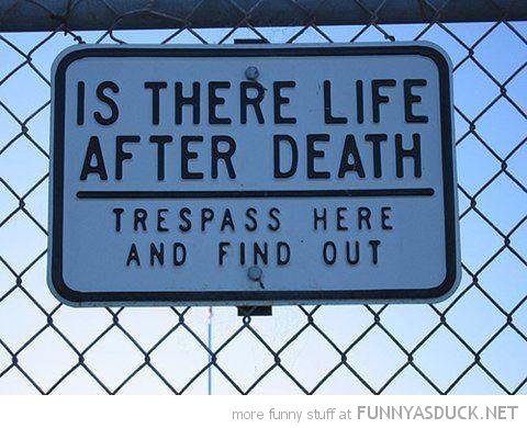 Life After Death