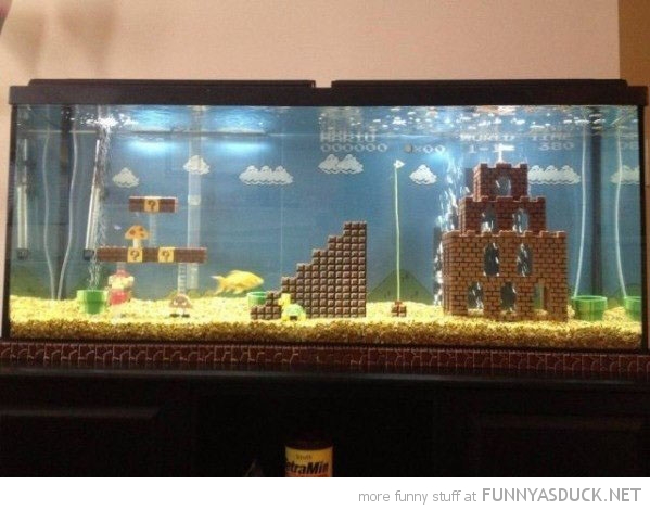 Super Fish Tank