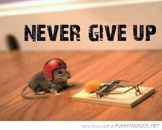 Never Give Up