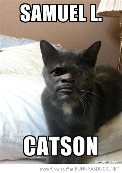 Samuel L. Catson