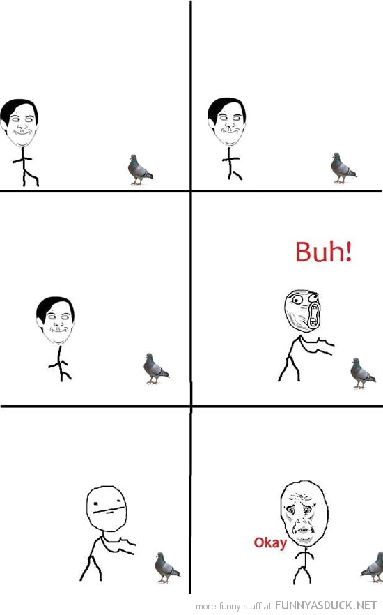 Pigeon Rage