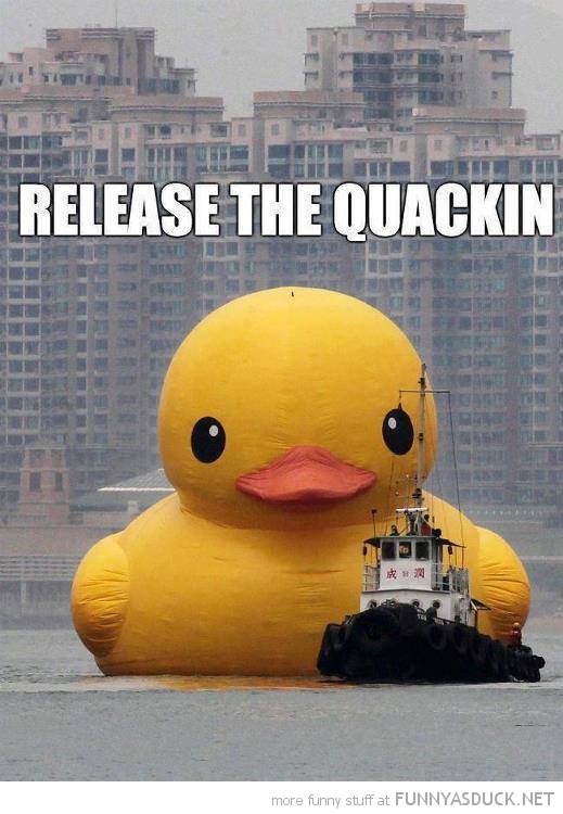 Release The Quackin