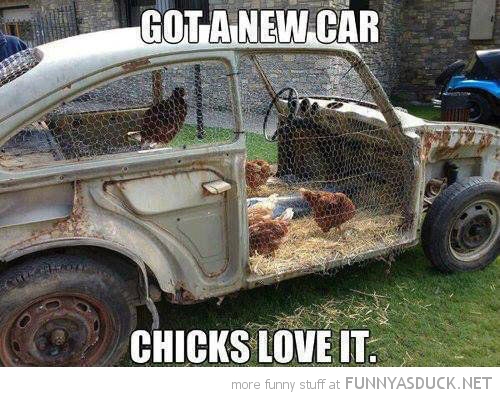 Chick Magnet