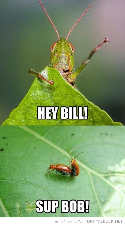 Hey Bill!