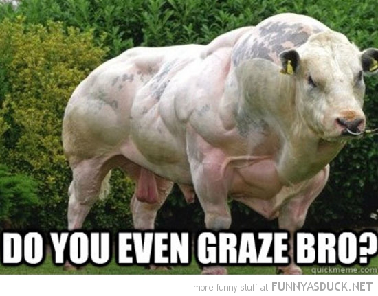 Do You Even Graze?