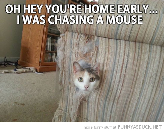 You're Home Early