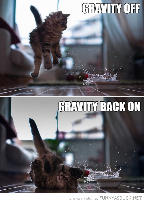 Gravity