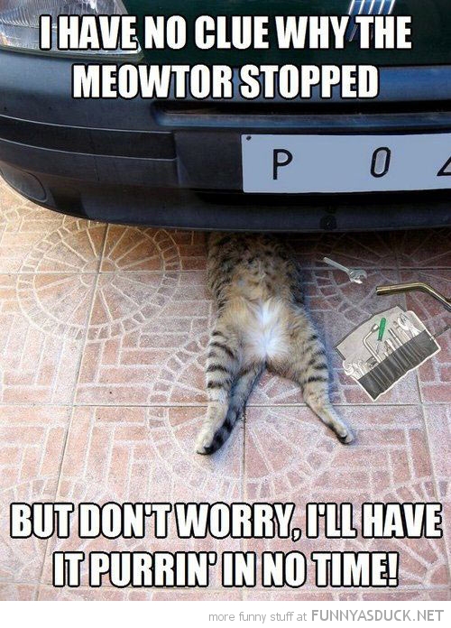 Kitty Mechanic