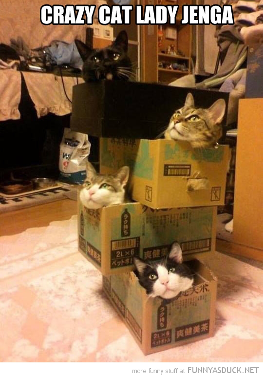 Cat Jenga