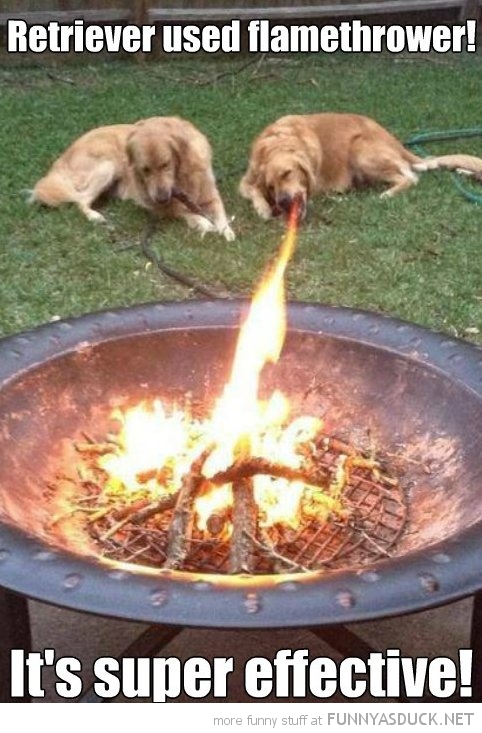 Retriever Used Flamethrower