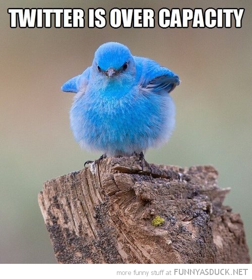 Twitter Over Capacity