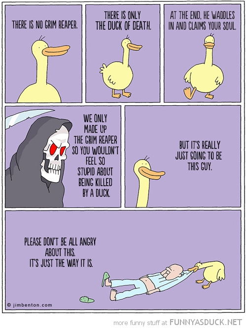 Duck Of Death