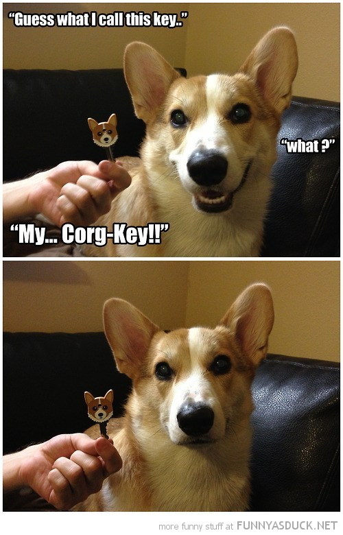 Corg-Key