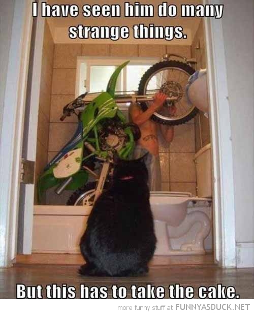 Strange Things