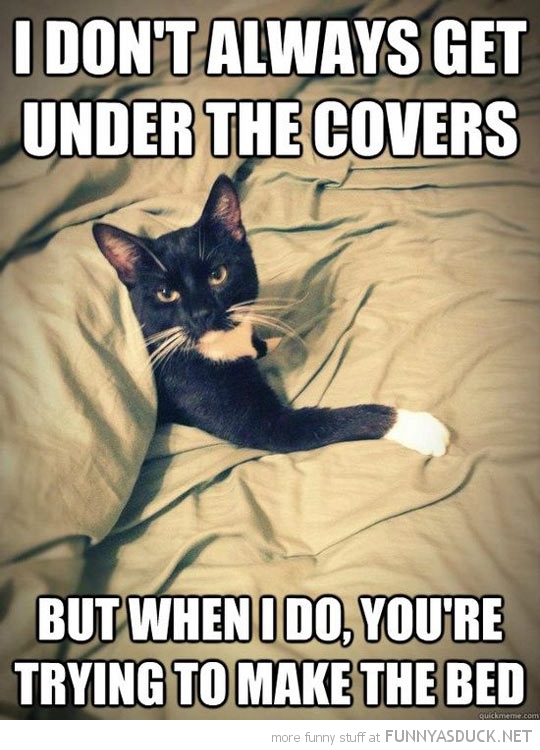 Under The Covers