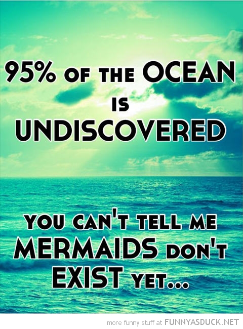 95% Of The Ocean