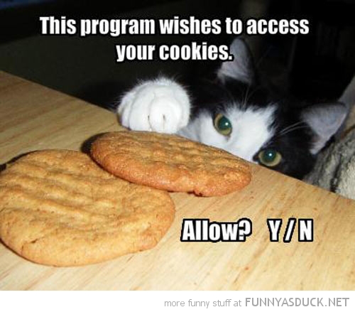 Access Your Cookies