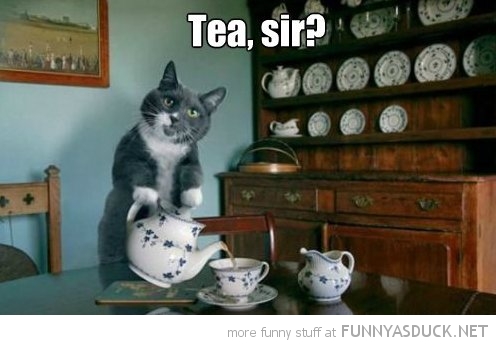 Tea, Sir?