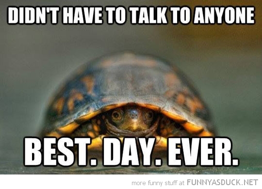 Introvert Turtle
