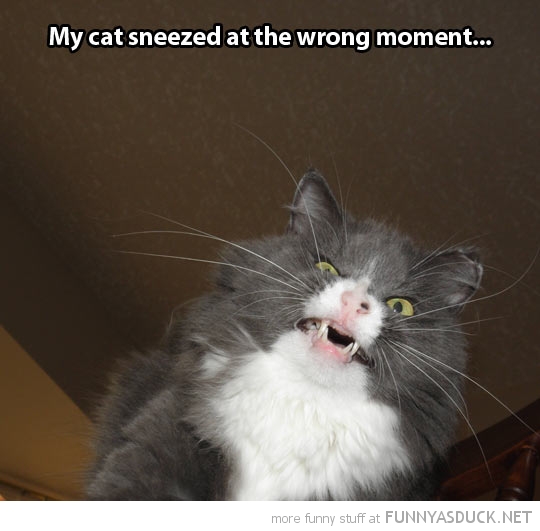 Sneezed At The Wrong Moment