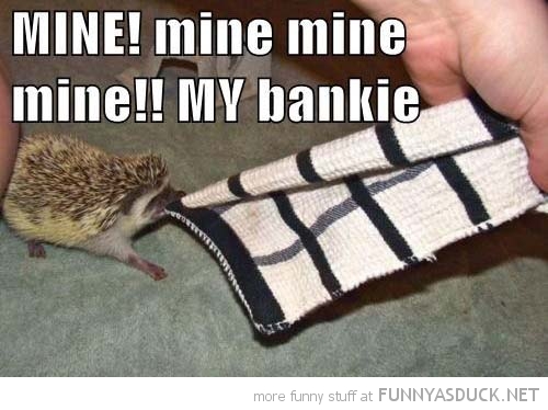 MY Bankie