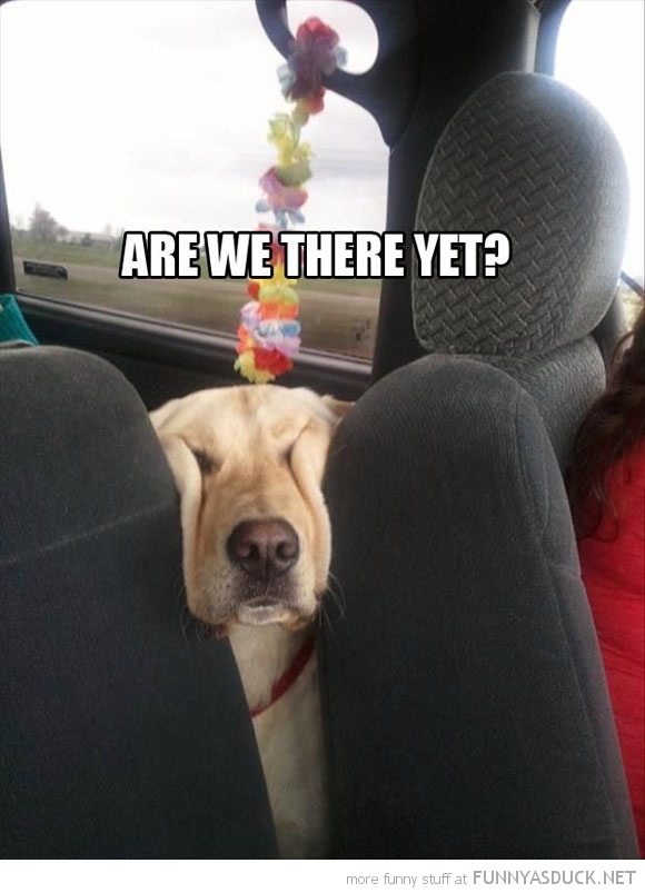 Are We There Yet?