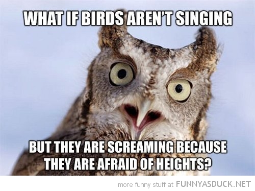 Birds Aren't Singing