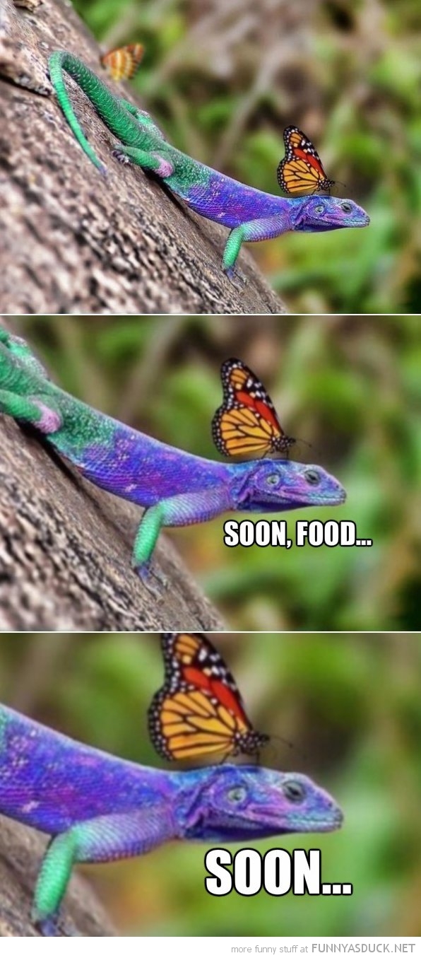 Soon, Food