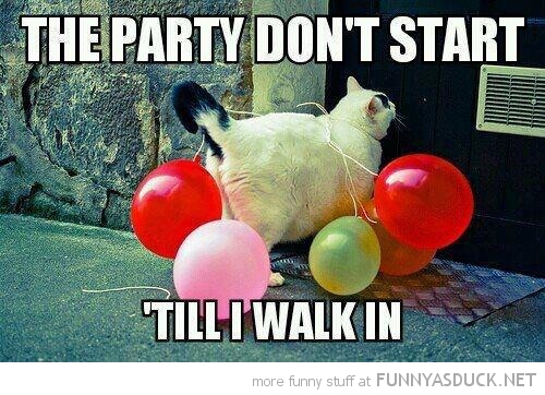 Party Don't Start