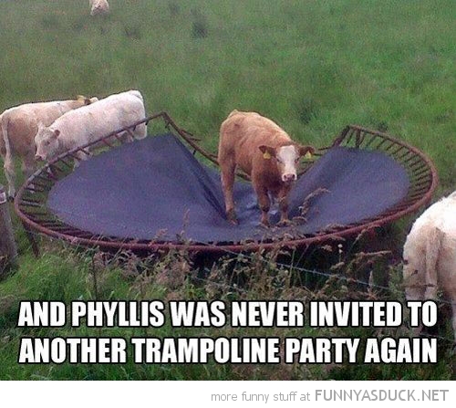 Poor Phyllis