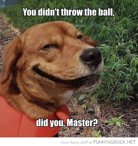 You Didn't Throw The Ball