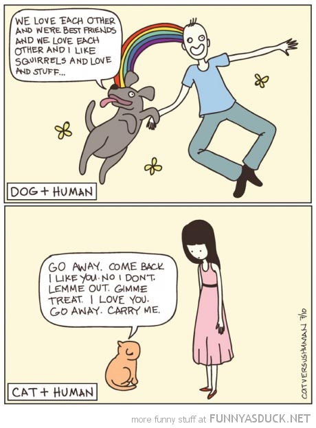 Dogs Vs Cats