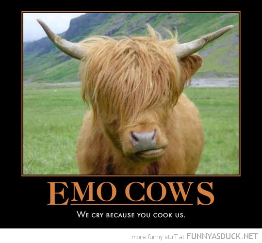 Emo Cow