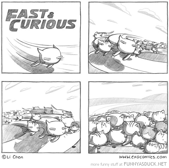 Fast &amp; Curious
