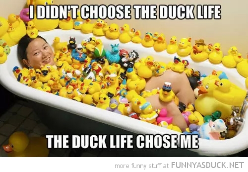 Duck Life