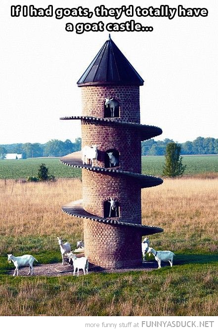 Goat Castle