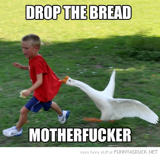 Drop The Bread