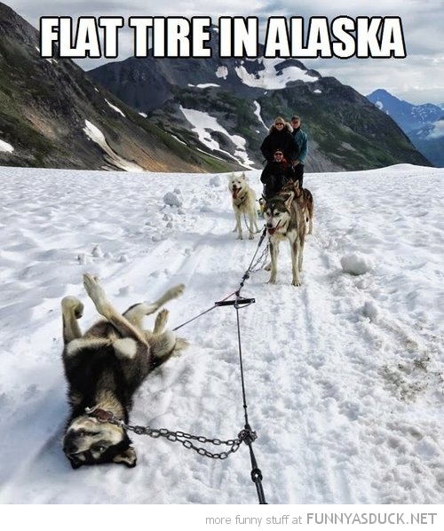 Flat Tire In Alaska