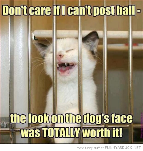 Can't Post Bail